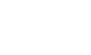 DM Historics